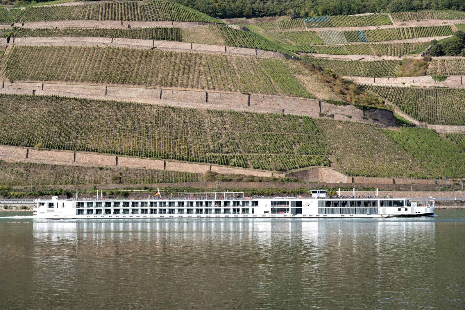 River cruise ship passing Rhine vineyards